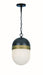 Crystorama - CAP-8507-MK-TG - One Light Outdoor Pendant - Capsule - Matte Black / Textured Gold