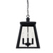 Capital Lighting - 926842BK - Four Light Outdoor Hanging Lantern - Belmore - Black