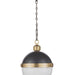 Regina Andrew - 16-1118BBNB - One Light Pendant - Otis - Blackened Brass