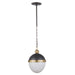 Regina Andrew - 16-1118BBNB - One Light Pendant - Otis - Blackened Brass