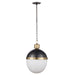 Regina Andrew - 16-1119BBNB - One Light Pendant - Otis - Blackened Brass