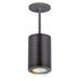 W.A.C. Lighting - DS-PD05-S-CC-BK - LED Pendant - Tube Arch - Black