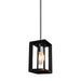 Artcraft - AC10061BC - One Light Pendant - Vineyard - Black & Chrome