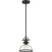 Quoizel - GRTS1508PN - One Light Mini Pendant - Grant - Palladian Bronze