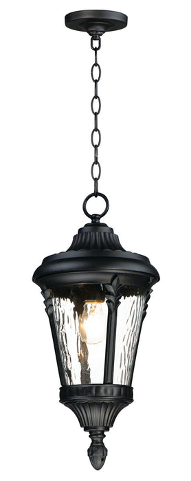 Maxim - 3058WGBK - One Light Outdoor Hanging Lantern - Sentry - Black