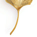 Regina Andrew - 15-1093 - Two Light Wall Sconce - Ginkgo - Gold