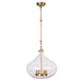 Regina Andrew - 16-1207NB - Four Light Pendant - Dover - Natural Brass