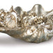 Regina Andrew - 20-1003 - Objet - Clam - Ambered Silver Leaf