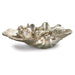 Regina Andrew - 20-1003 - Objet - Clam - Ambered Silver Leaf