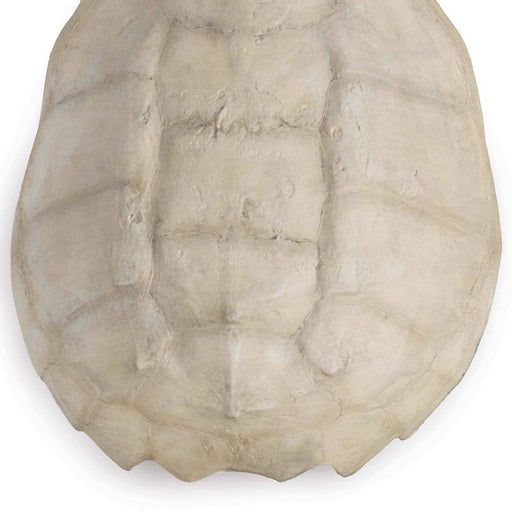 Regina Andrew - 21-1044IV - Objet - Turtle - Bleached