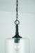 Capital Lighting - 339311MB - One Light Pendant - Carter - Matte Black