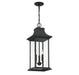 Savoy House - 5-453-BK - Three Light Outdoor Pendant - Hancock - Matte Black