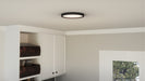 Quoizel - OST1711EK - LED Flush Mount - Outskirts - Earth Black