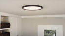 Quoizel - OST1720EK - LED Flush Mount - Outskirts - Earth Black