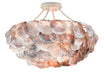 Currey and Company - 9000-0755 - Six Light Chandelier - Seahouse - Smokewood/Natural Shell