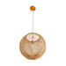 Arteriors - 45629 - One Light Pendant - Indiana - Natural