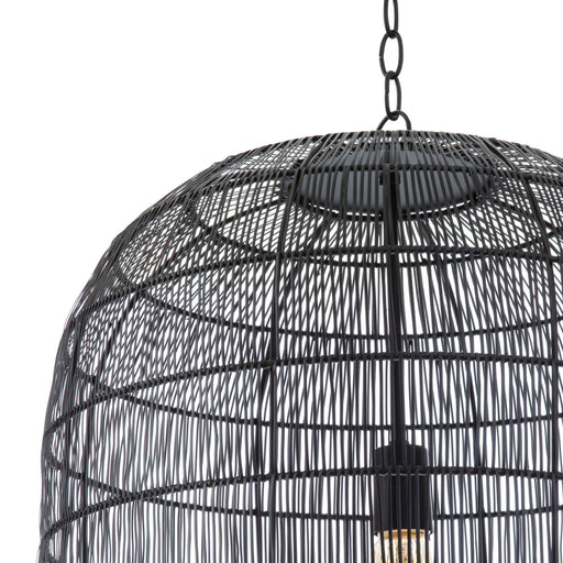 Regina Andrew - 16-1294BLK - One Light Pendant - Fresco - Black