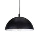 Regina Andrew - 17-1003BLK - One Light Pendant - Peridot - Black