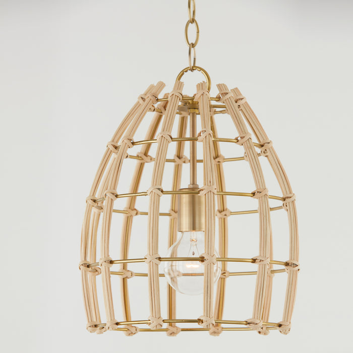 Capital Lighting - 344111MA - One Light Pendant - Wren - Matte Brass