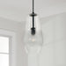 Capital Lighting - 345011MB - One Light Pendant - Dena - Matte Black