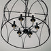 Capital Lighting - 345661KB - Six Light Pendant - Amara - Matte Black with Brass