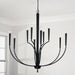 Capital Lighting - 445901MB - Ten Light Chandelier - Holden - Matte Black