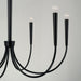 Capital Lighting - 445961MB - Six Light Chandelier - Holden - Matte Black