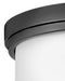 Hinkley - 42801BK - LED Flush Mount - Montrose - Black