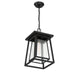 Savoy House - 5-2025-BK - One Light Outdoor Hanging Lantern - Denver - Matte Black