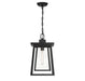 Savoy House - 5-2025-BK - One Light Outdoor Hanging Lantern - Denver - Matte Black