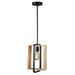 Artcraft - AC11711BK - One Light Pendant - Perris - Black