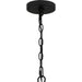 Quoizel - BGA5030MBK - Eight Light Chandelier - Brigitta - Matte Black