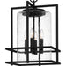 Quoizel - DMN1514EK - Four Light Pendant - Damien - Earth Black