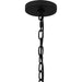 Quoizel - DMN1514EK - Four Light Pendant - Damien - Earth Black