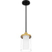 Quoizel - ROW1506MBK - One Light Mini Pendant - Rowland - Matte Black