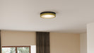 Quoizel - WLN1611MBKG - LED Flush Mount - Weldin - Matte Black Gold