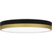 Quoizel - WLN1615MBKG - LED Flush Mount - Weldin - Matte Black Gold