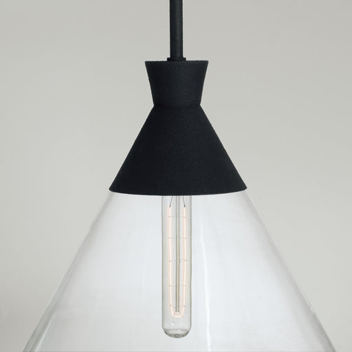 Capital Lighting - 350311XK - One Light Pendant - Paloma - Textured Black