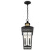 Savoy House - 5-717-143 - Two Light Outdoor Hanging Lantern - Kingsley - Matte Black with Warm Brass