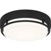 Quoizel - HAL1612EK - LED Flush Mount - Hale - Earth Black