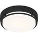 Quoizel - HAL1612EK - LED Flush Mount - Hale - Earth Black