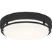 Quoizel - HAL1614EK - LED Flush Mount - Hale - Earth Black