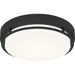 Quoizel - HAL1614EK - LED Flush Mount - Hale - Earth Black