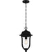 Quoizel - MUL1909MBK - One Light Outdoor Hanging Lantern - Mulberry - Matte Black