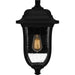 Quoizel - MUL8409MBK - One Light Outdoor Wall Mount - Mulberry - Matte Black