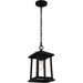 Quoizel - SAT1909MBK - One Light Outdoor Hanging Lantern - Satterfield - Matte Black