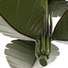 Varaluz - 901S03 - Three Light Semi-Flush Mount - Banana Leaf - Banana Leaf