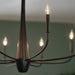 Kichler - 52526BK - Eight Light Chandelier - Deela - Black