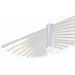 Eurofase - 46731-033 - LED Wall Mount - Seraph - White