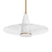 Arteriors - DFC05 - LED Flush Mount - Vasili - Clear Seedy